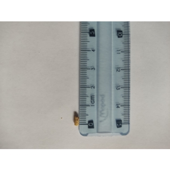 Prestarter Nioska Odchów Zielona Zagroda Mikrogranulat 10kg De Heus